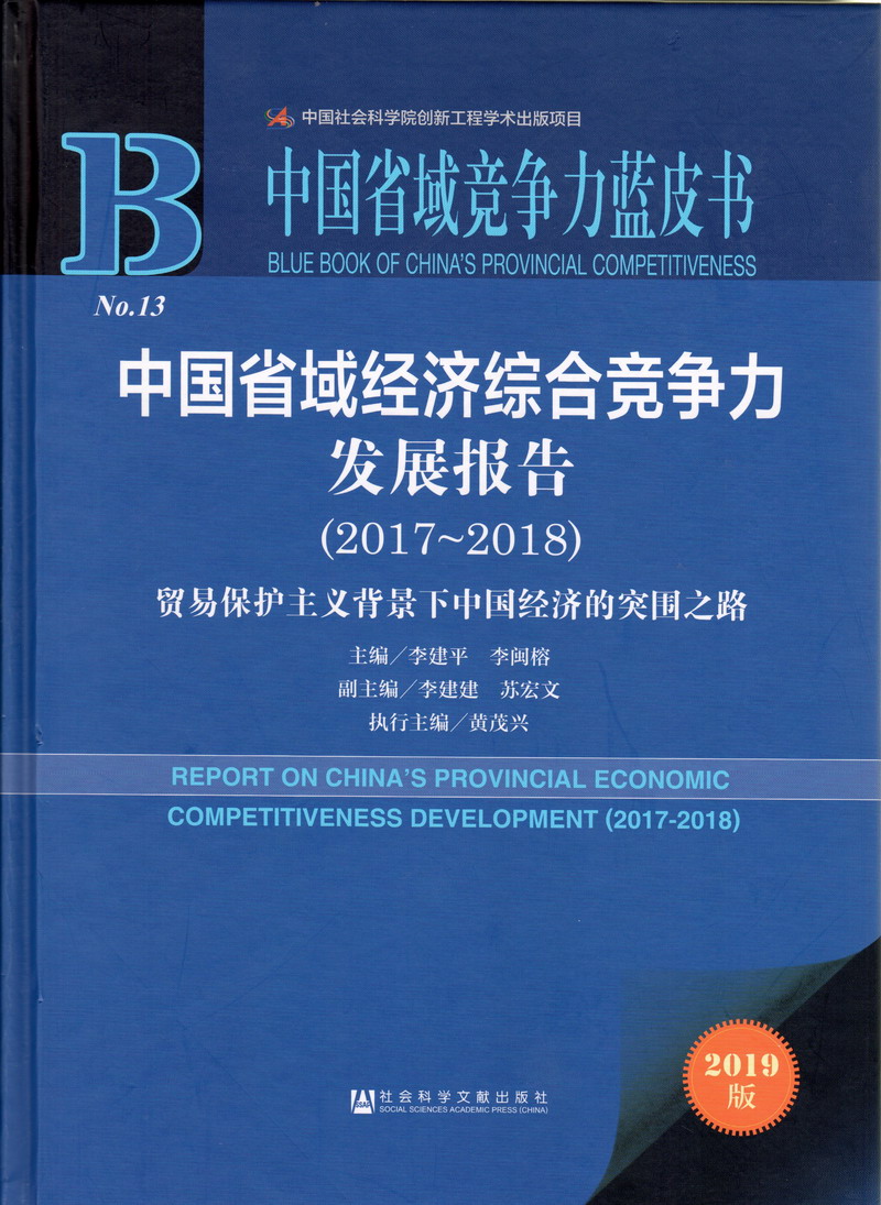 小骚逼被干视频中国省域经济综合竞争力发展报告（2017-2018）