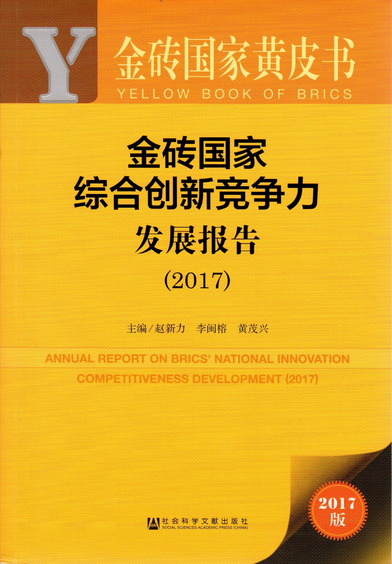 啊啊啊操草操草操金砖国家综合创新竞争力发展报告（2017）